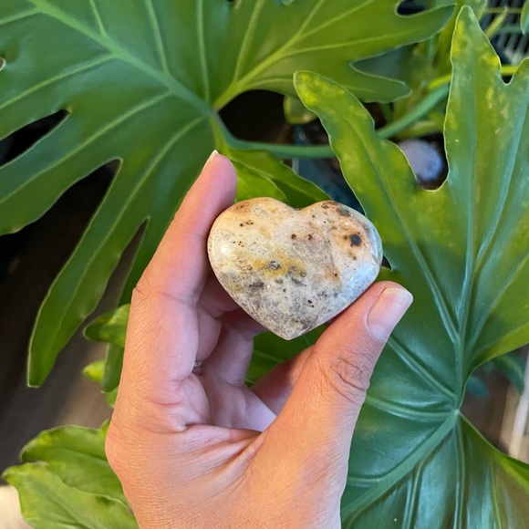 The Gift of Happiness - Picture 8 of 8